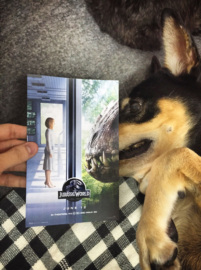 instagrammer-mashes-up-famous-movie-posters-with-real-life-puppies-3__700