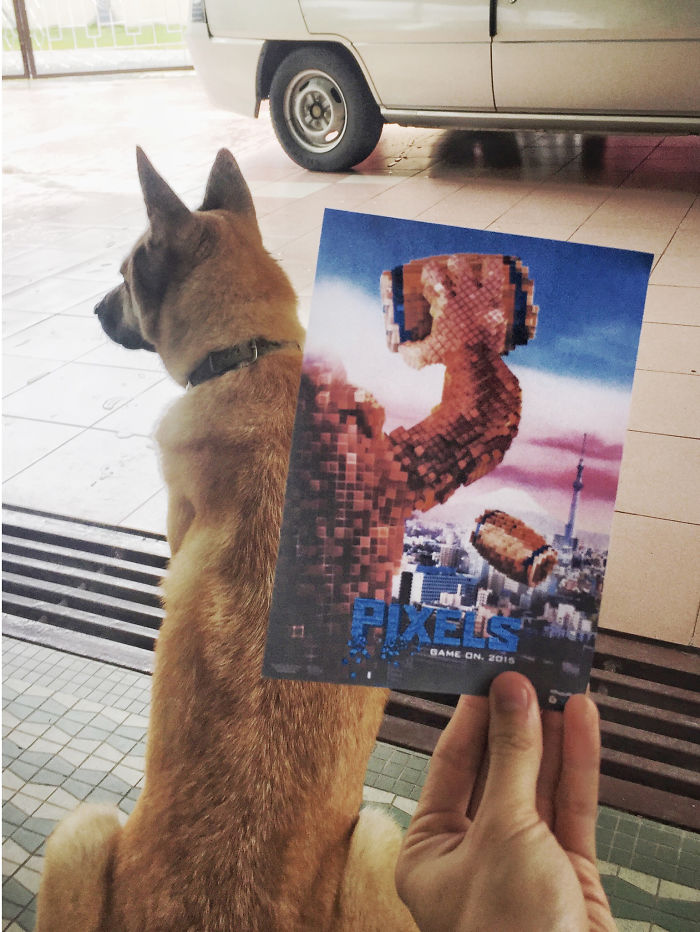 instagrammer-mashes-up-famous-movie-posters-with-real-life-puppies-4__700